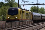 AMTK 620 Dand-di-lion